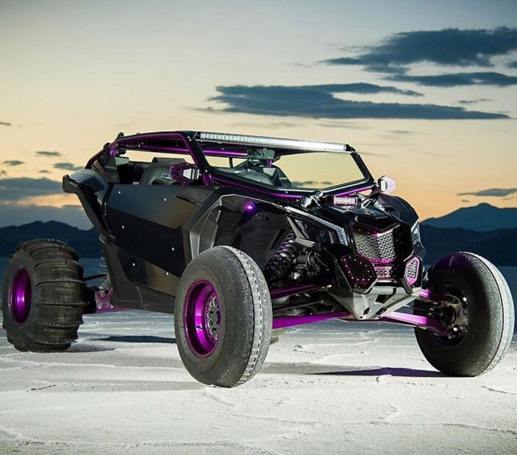 Can-Am X3 Cage