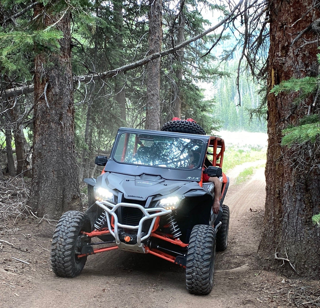 Honda Talon 4 Seat Cage