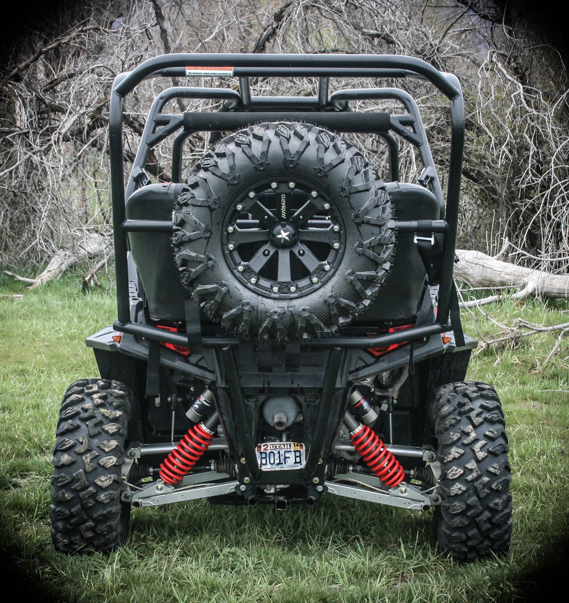 RZR Spare Tire Rack (2008+)
