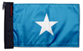 Bonnie Blue 12"x18" Forever Wave Flag