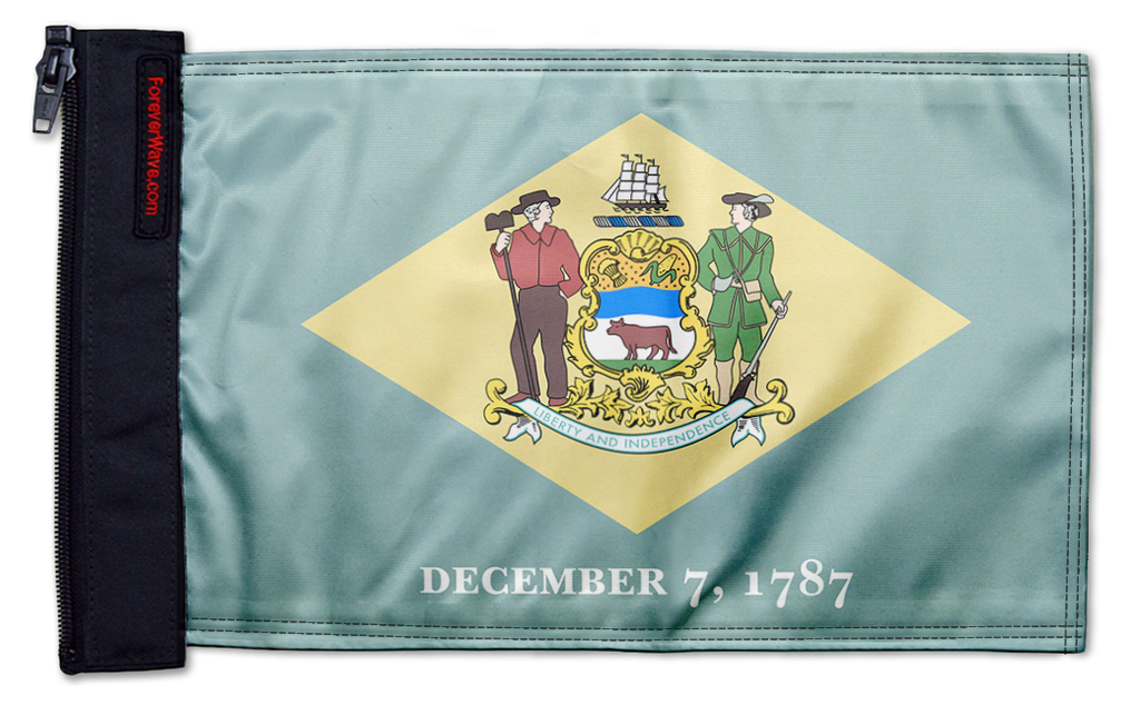 State Flag Delaware 12"x18" Forever Wave Flag