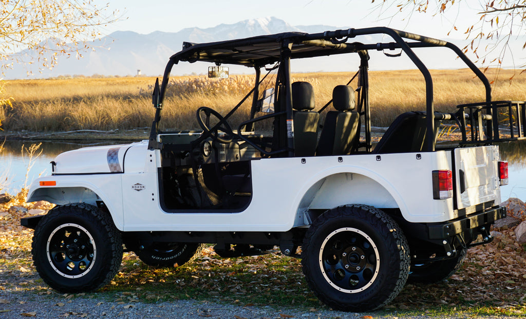 ROXOR Rear Roll Cage *ONLY* (2018+)